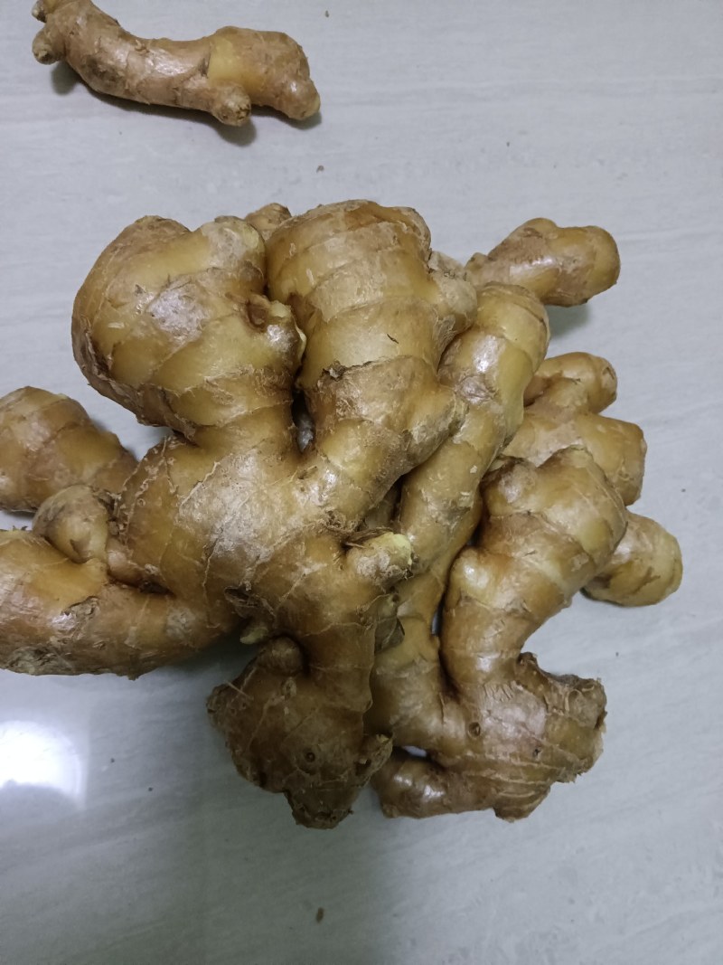 小黄姜