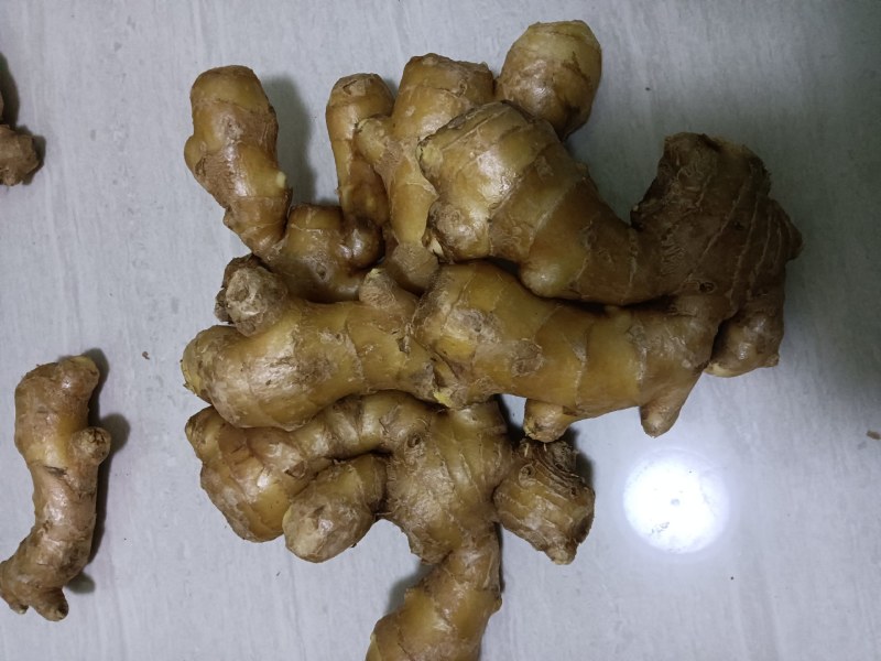 小黄姜