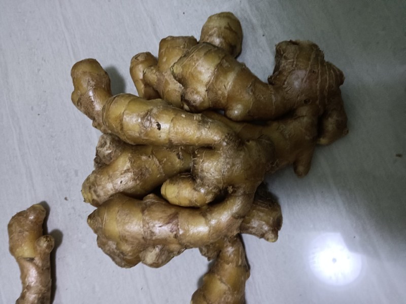 小黄姜