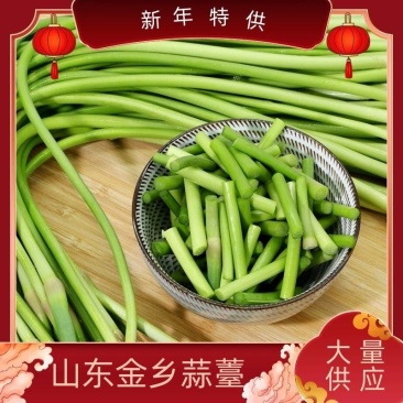 产地直发金乡蒜苔质量保障大量供应代收代存有冷库金乡蒜薹