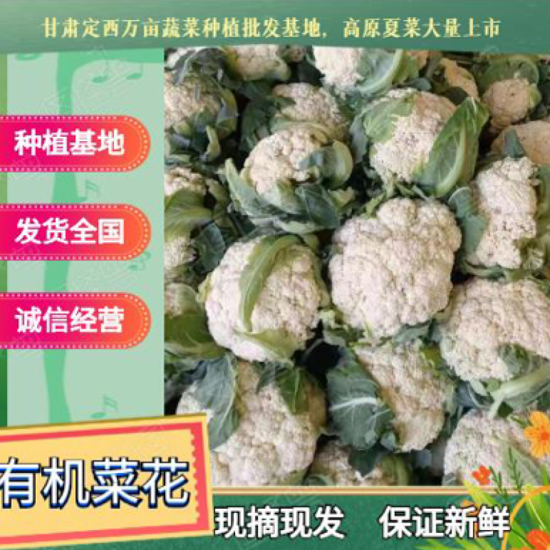 甘肃有机蔬菜、散花、定西散花大量批发、欢迎订购