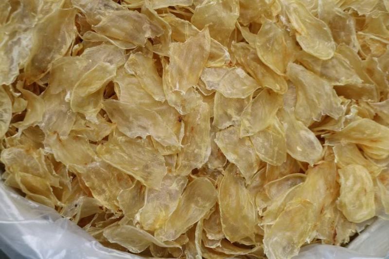 泰国大号鸡蛋胶250头鱼胶花胶新鲜清水厚肉大块性价比很高