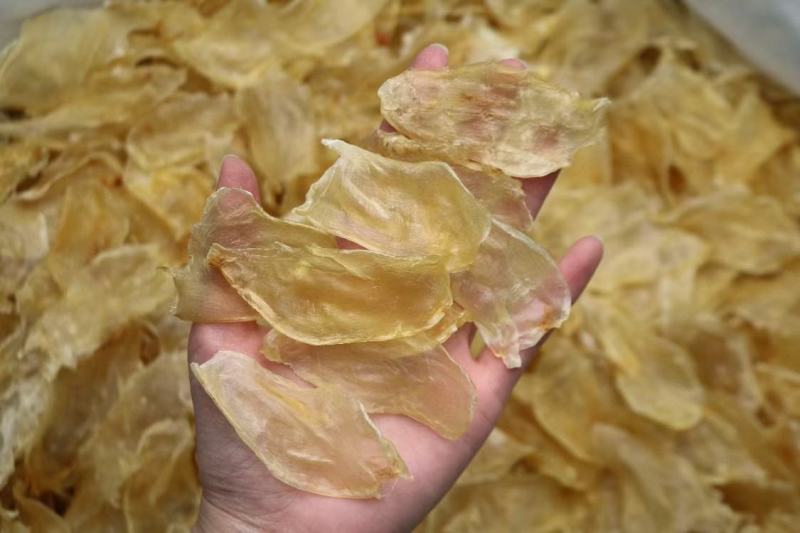 泰国大号鸡蛋胶250头鱼胶花胶新鲜清水厚肉大块性价比很高