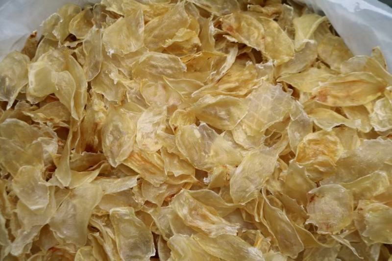 泰国大号鸡蛋胶250头鱼胶花胶新鲜清水厚肉大块性价比很高