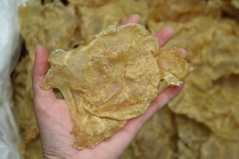 13头开边赤鱼肚鱼胶花胶干净没有油足干货整体清水有个别颜