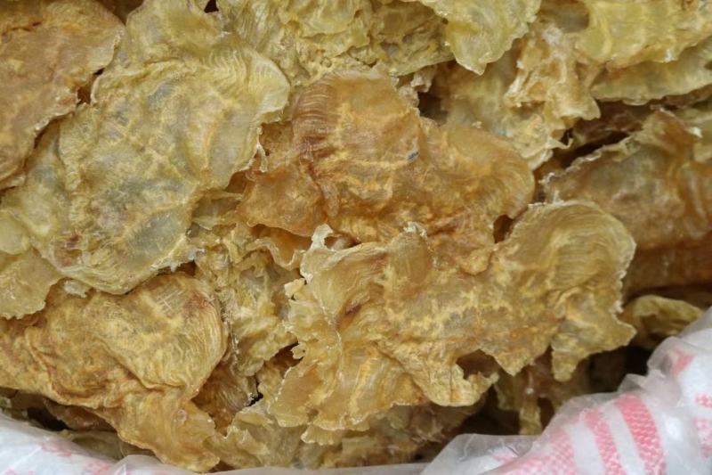 13头开边赤鱼肚鱼胶花胶干净没有油足干货整体清水有个别颜
