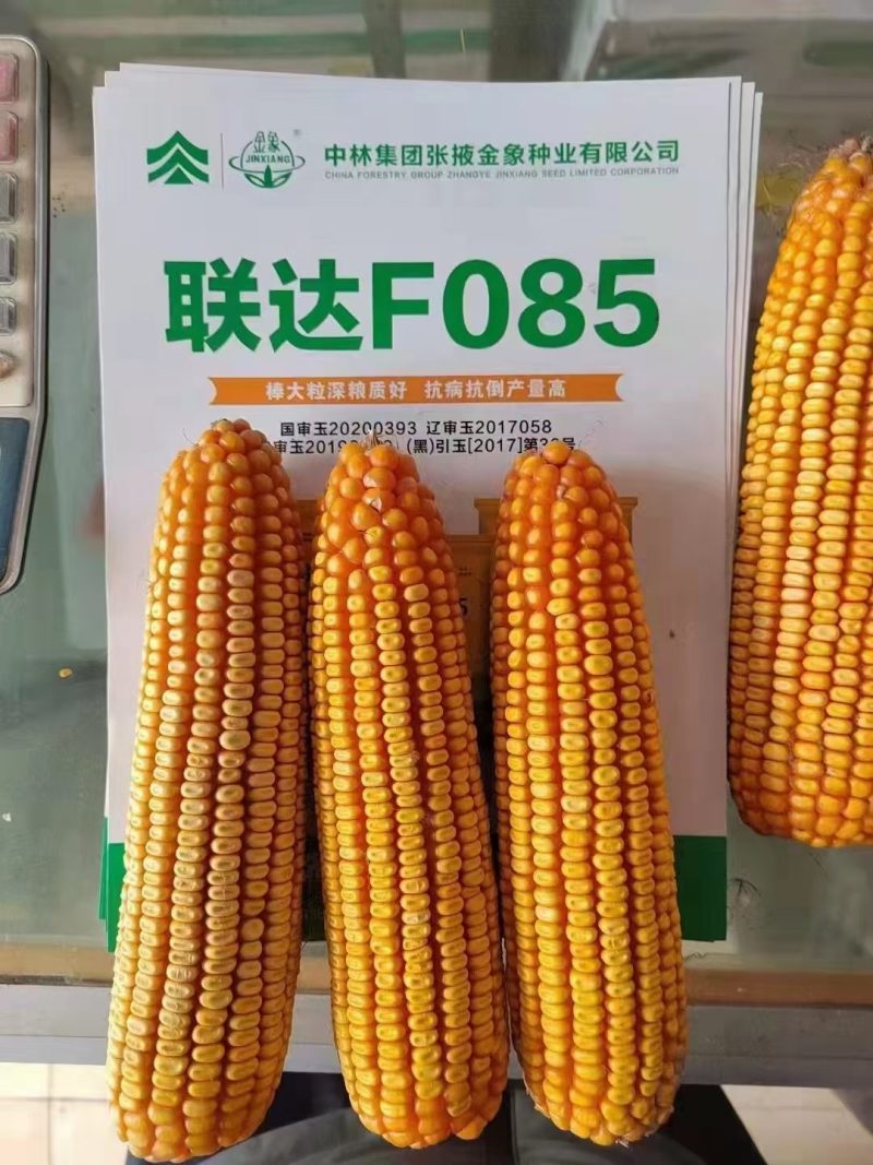 联达坤瑞522