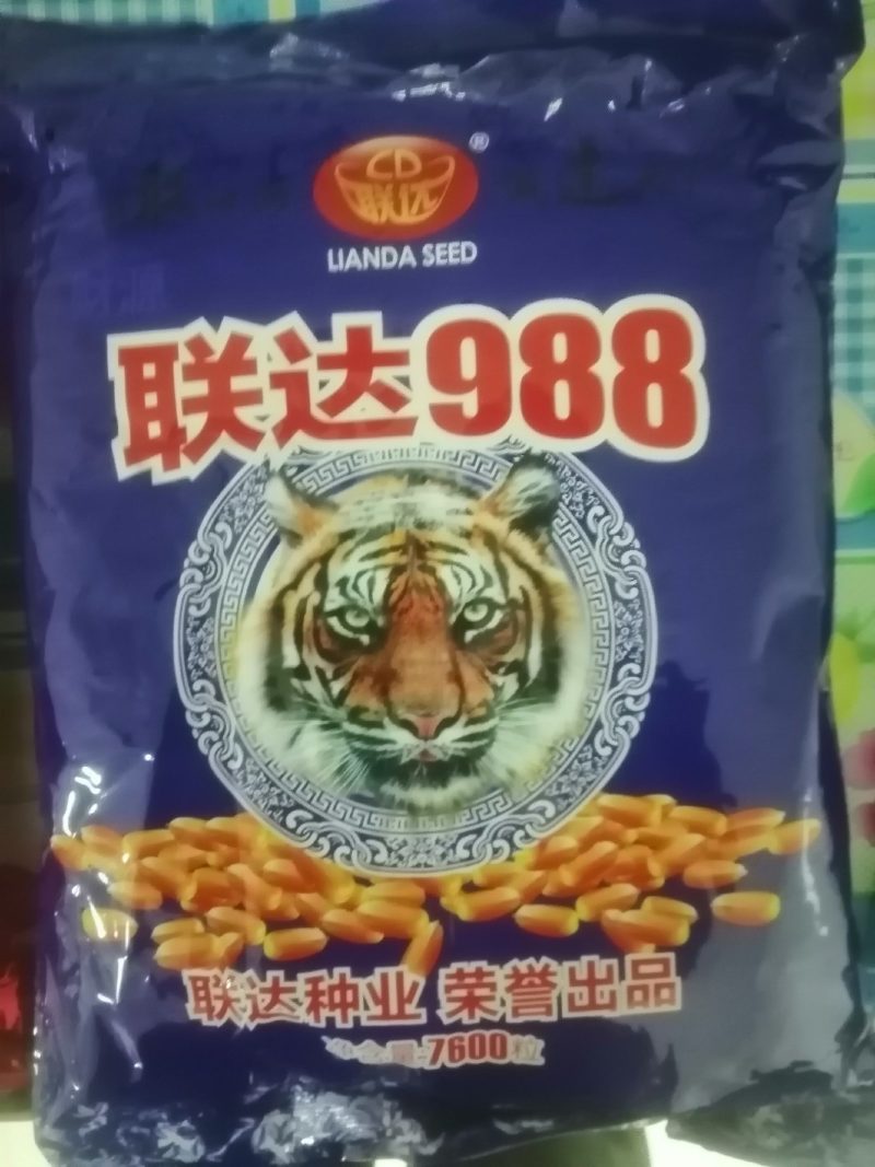 联达坤瑞522
