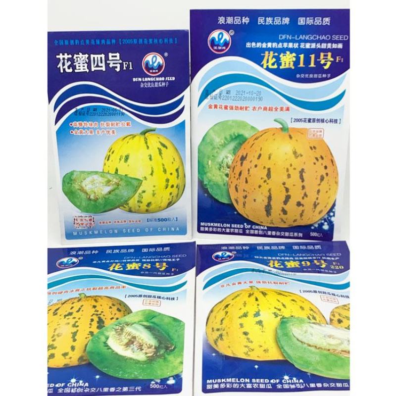 超甜八里香豹点黄花绿肉甜瓜种子花蜜四号500粒原装发货