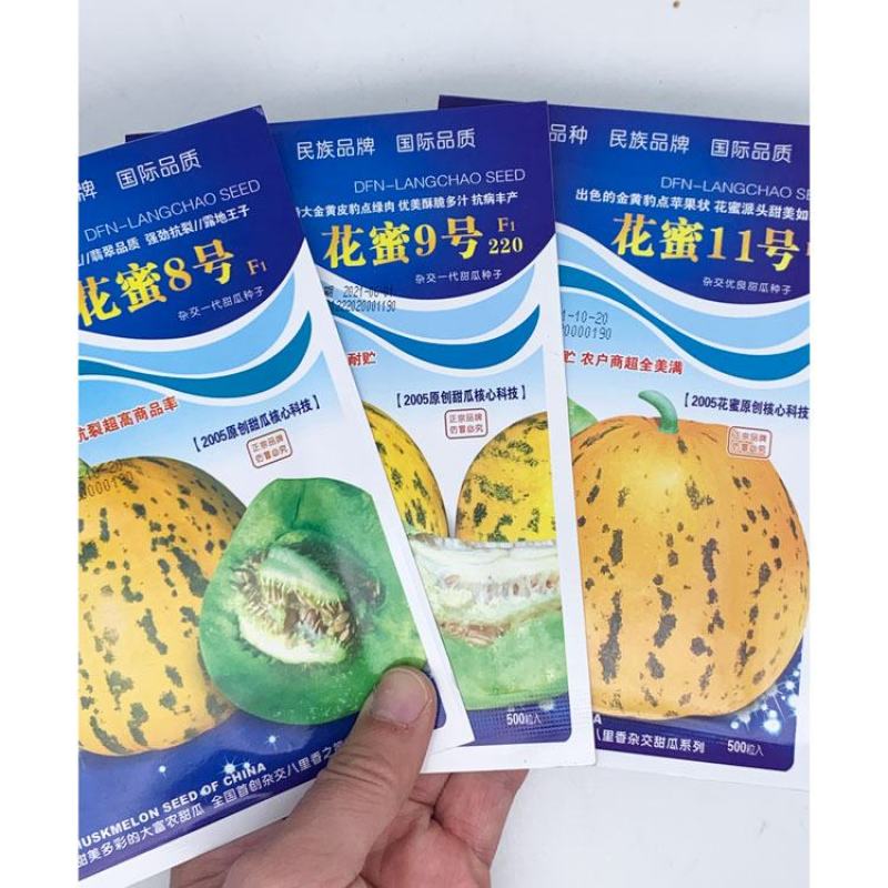 超甜八里香豹点黄花绿肉甜瓜种子花蜜四号500粒原装发货
