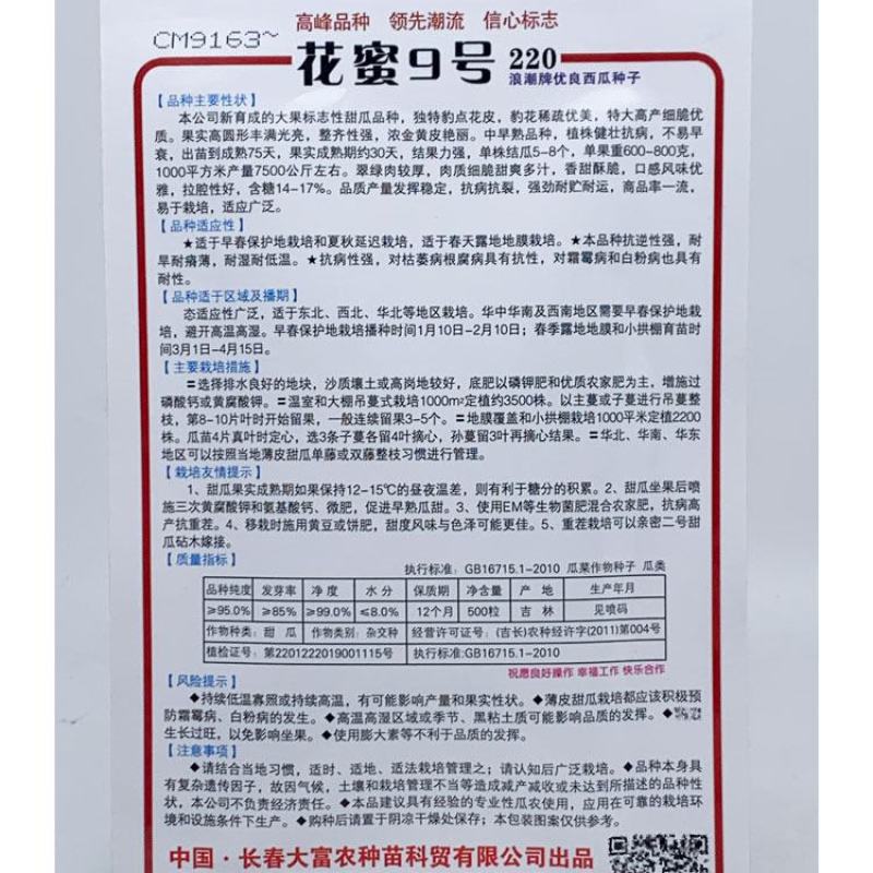 超甜八里香豹点黄花绿肉甜瓜种子花蜜四号500粒原装发货