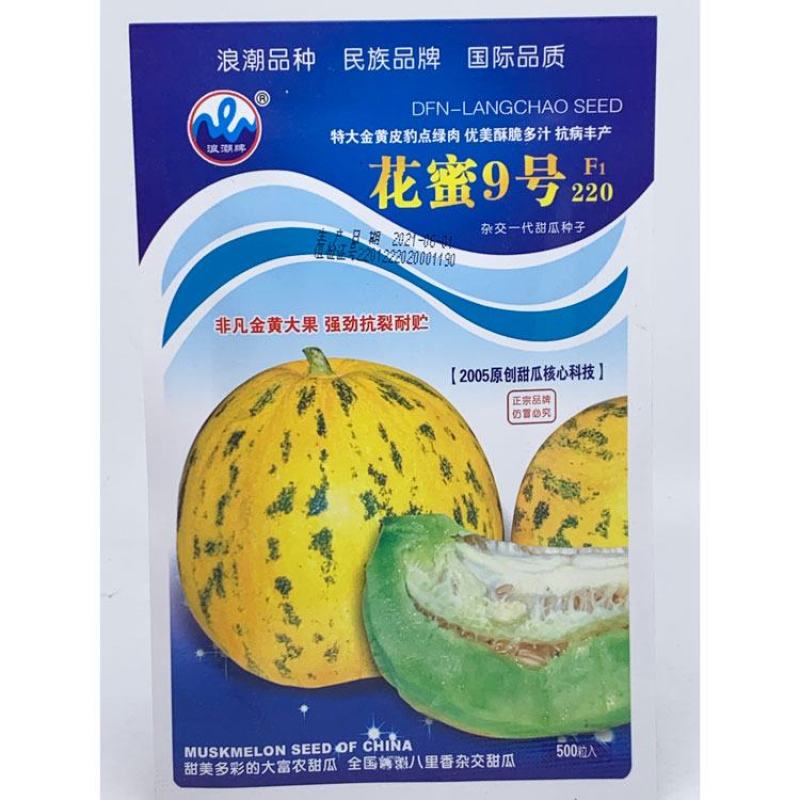 超甜八里香豹点黄花绿肉甜瓜种子花蜜四号500粒原装发货