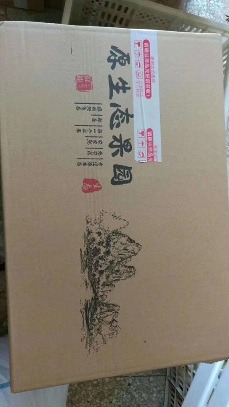 梨/砀山酥梨/筐装各种规格/果园现摘现发欢迎前来采购