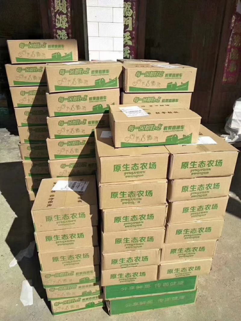 梨/砀山酥梨/筐装各种规格/果园现摘现发欢迎前来采购