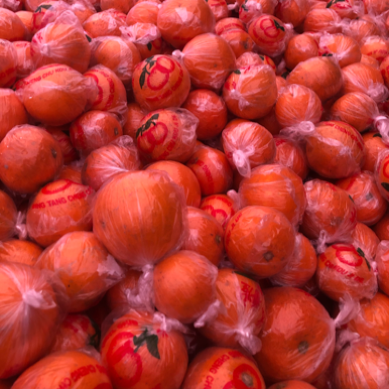 怀化市麻阳冰糖橙橘子🍊品质保证全国各地都可以