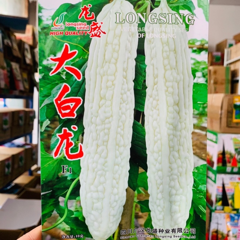 专业育种基地选用苦瓜种子龙盛长白苦瓜种子皮大白苦瓜