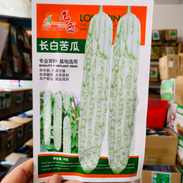 专业育种基地选用苦瓜种子龙盛长白苦瓜种子皮大白苦瓜