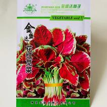 花红苋菜种子红根早熟耐热耐旱蔬菜种子批发小包装菜种菜园
