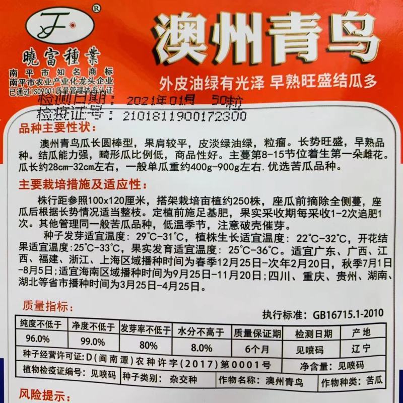 油身苦瓜种子早熟表皮鲜嫩油亮粒瘤苦瓜籽基地专用绿苦瓜种子