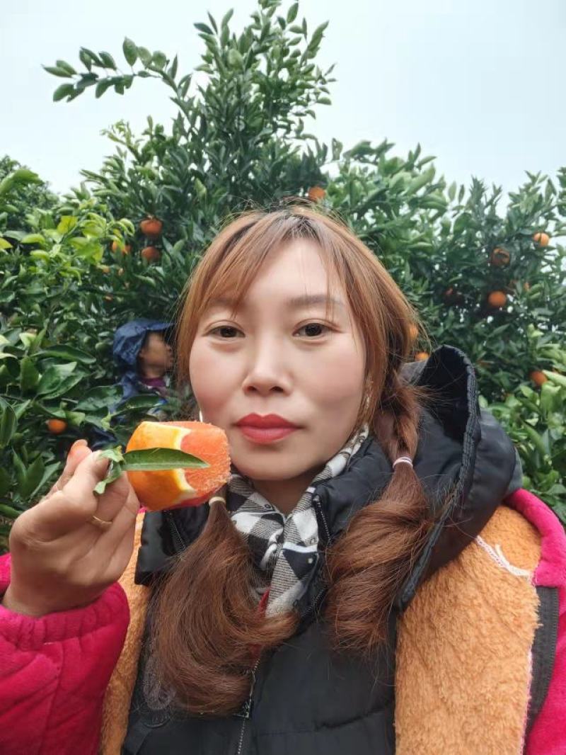 湖北宜昌精品橙子血橙中华红橙子产地直发货量充足