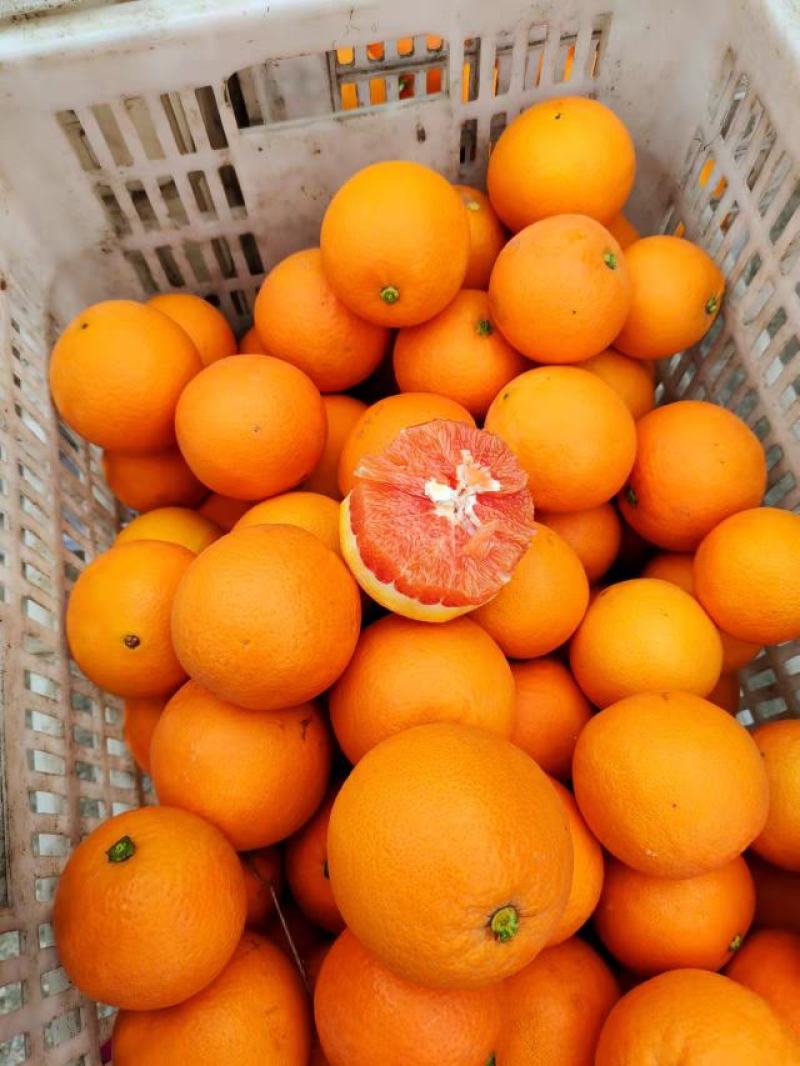 湖北宜昌精品橙子血橙中华红橙子产地直发货量充足