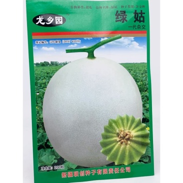 联创绿姑甜瓜种子早熟糖度高绿肉香瓜种子200粒原装发货