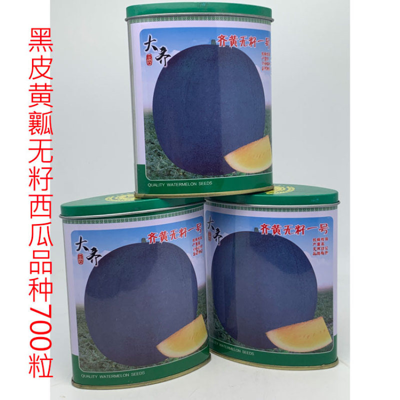 大齐黑皮黄瓤无籽西瓜种子早熟糖度高正圆大果700粒原装