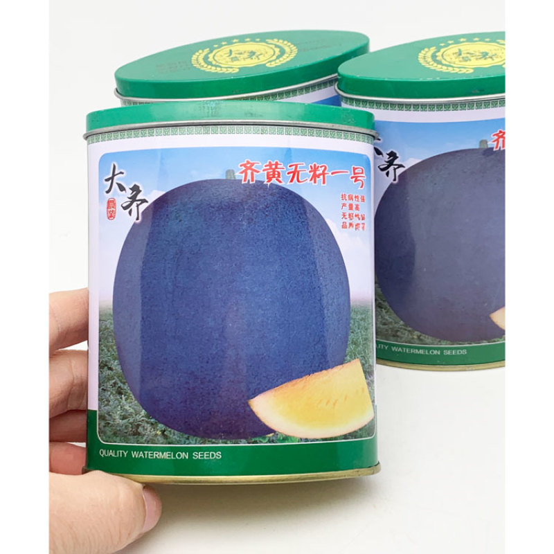 大齐黑皮黄瓤无籽西瓜种子早熟糖度高正圆大果700粒原装