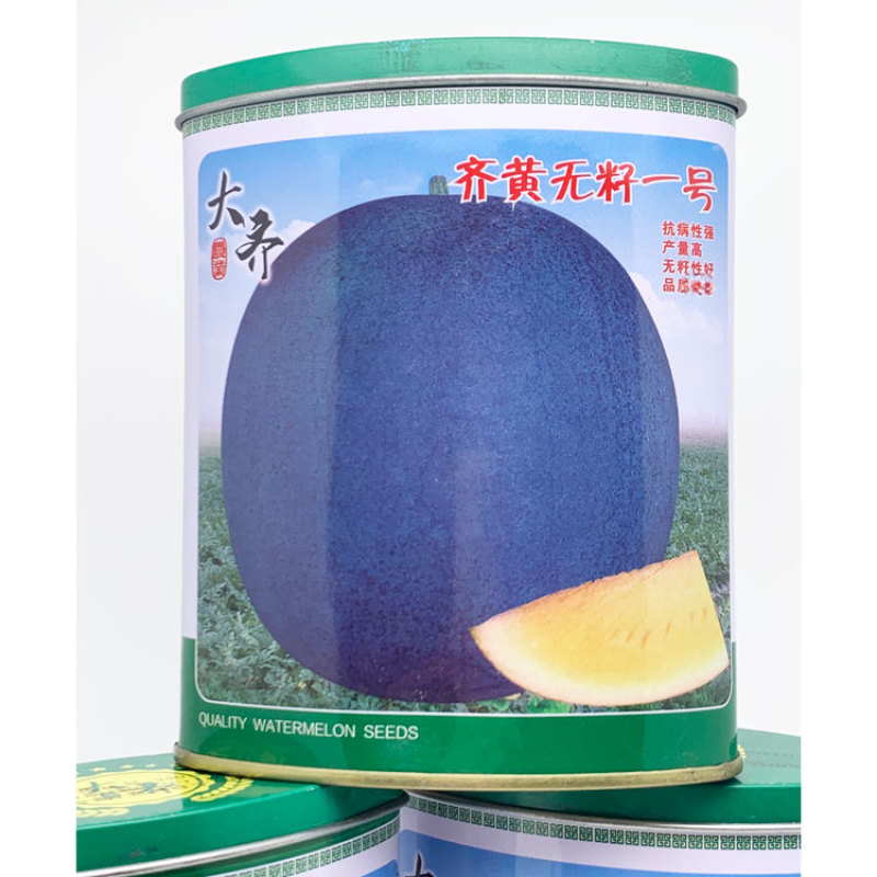 大齐黑皮黄瓤无籽西瓜种子早熟糖度高正圆大果700粒原装