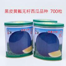 大齐黑皮黄瓤无籽西瓜种子早熟糖度高正圆大果700粒原装