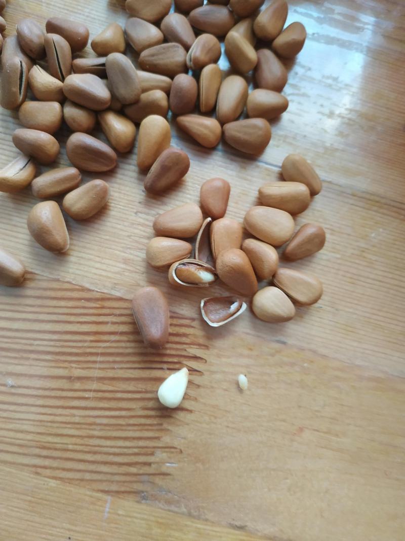 【正品底价】新货连罐250g/50g松子特