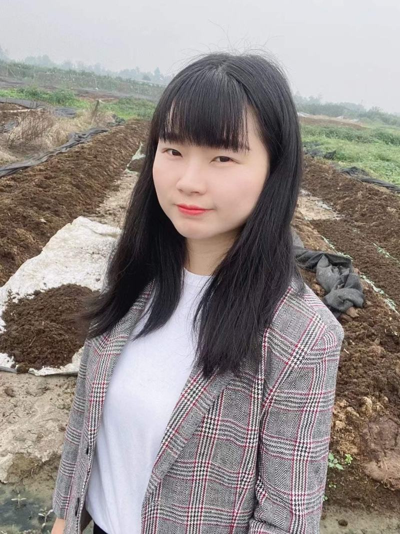 蚯蚓种养殖种苗蚯蚓苗蚯蚓技术养殖技术大平2号蚯蚓