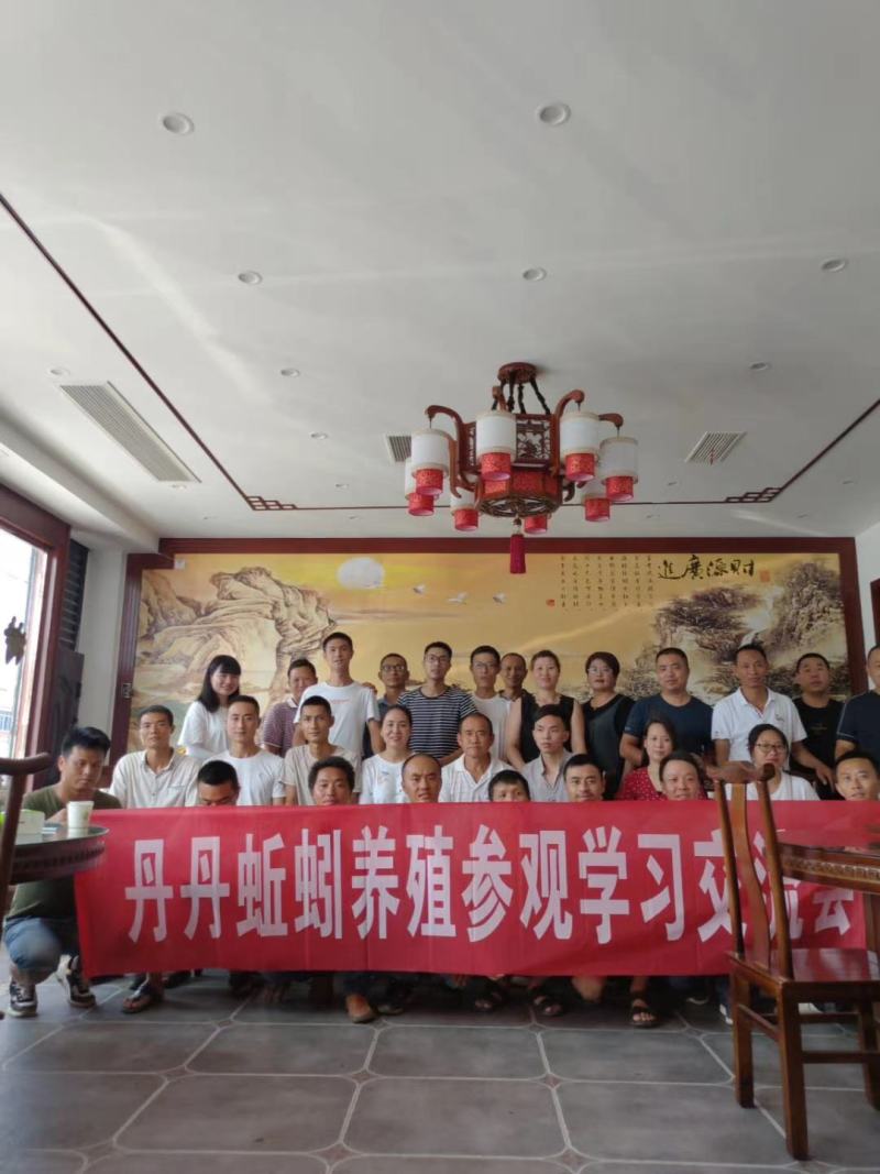蚯蚓种养殖种苗蚯蚓苗蚯蚓技术养殖技术大平2号蚯蚓