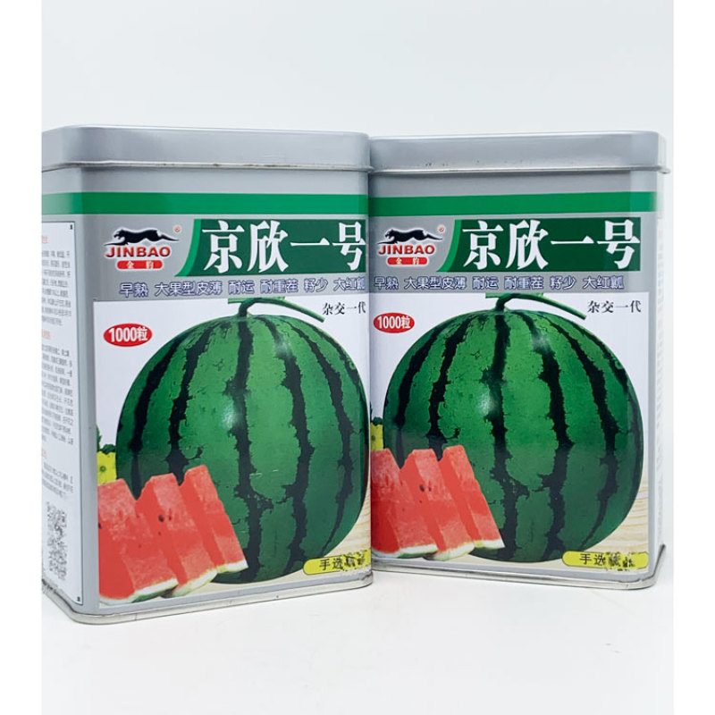 京欣一号甜王西瓜种子早熟糖度高薄皮大红瓤耐重茬西瓜种子