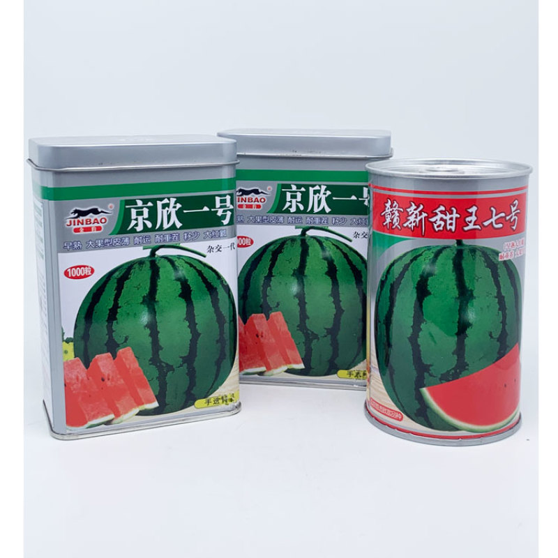 京欣一号甜王西瓜种子早熟糖度高薄皮大红瓤耐重茬西瓜种子
