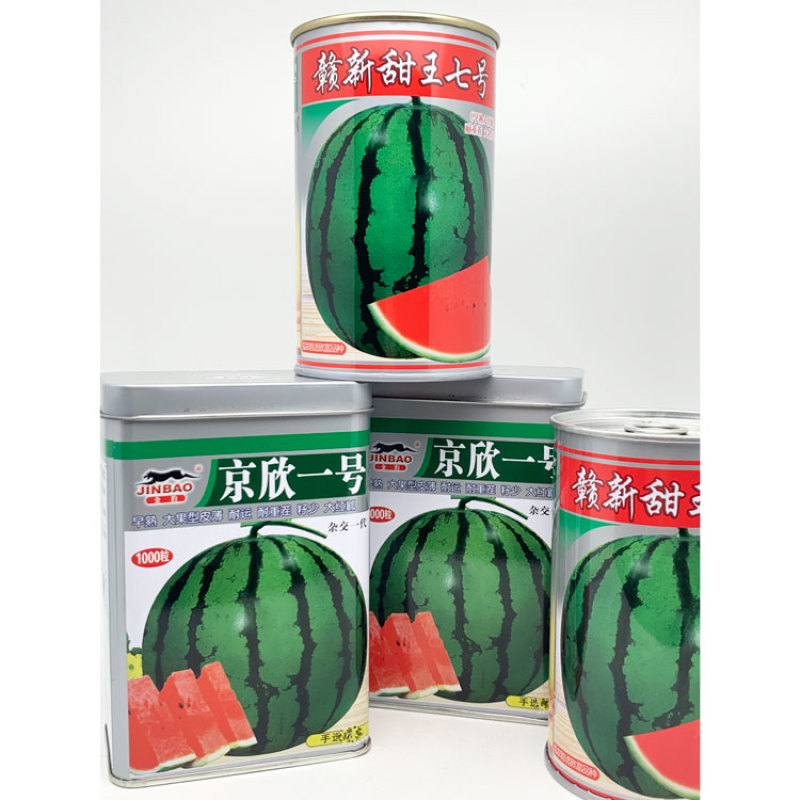 京欣一号甜王西瓜种子早熟糖度高薄皮大红瓤耐重茬西瓜种子