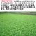进口耐寒牧草种子多年生黑麦草种子四季常青鸡鸭鹅猪牛羊鱼草