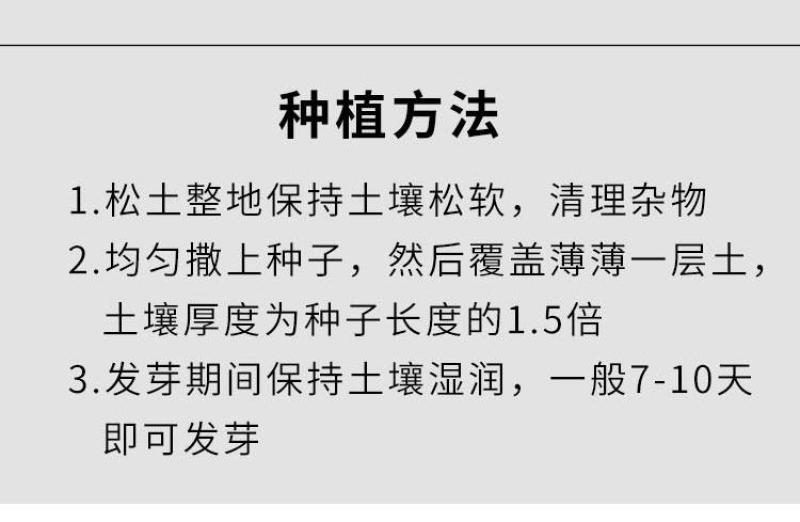 进口耐寒牧草种子多年生黑麦草种子四季常青鸡鸭鹅猪牛羊鱼草