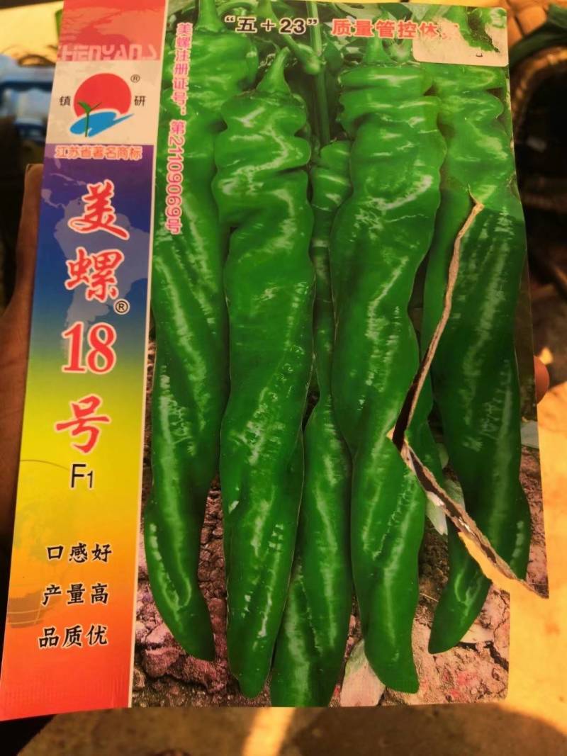 （辣椒苗）茶氏育苗基地常年供应各种各样辣椒苗，欢迎全国各