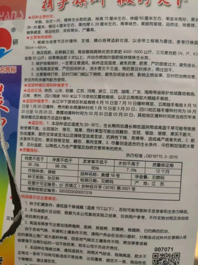 （辣椒苗）茶氏育苗基地常年供应各种各样辣椒苗，欢迎全国各