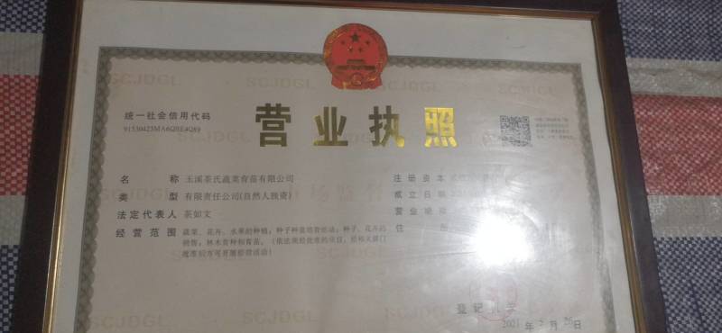 （辣椒苗）茶氏育苗基地常年供应各种各样辣椒苗，欢迎全国各