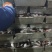 海鲫鱼赤眼鱼九九鱼冻盘10斤净重15斤净重