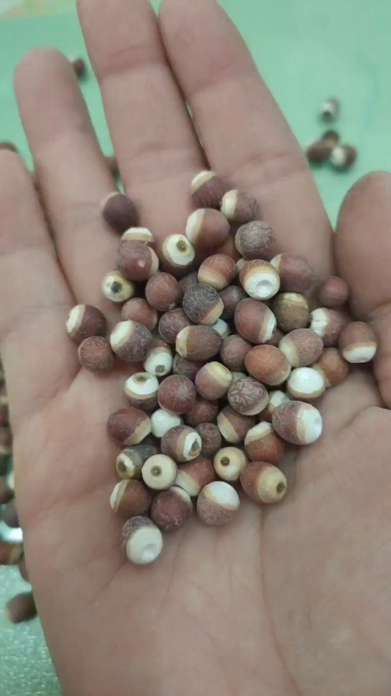 芡实米鸡头米芡实干货无硫大量供应一件代发