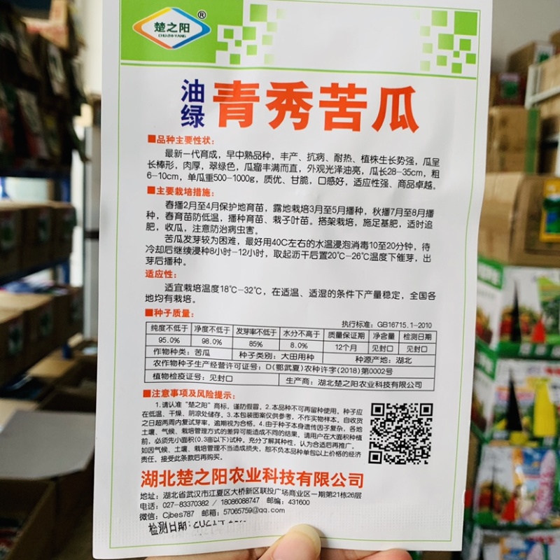 油绿青秀苦瓜种子早熟高产抗病耐热油亮苦瓜种子育苗场小菜园