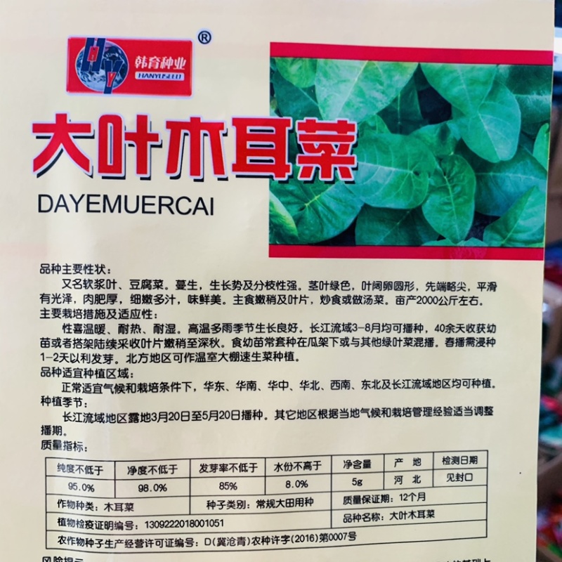 韩育大叶木耳菜种子批发蔬菜种子小包装木耳菜种子豆腐菜种子