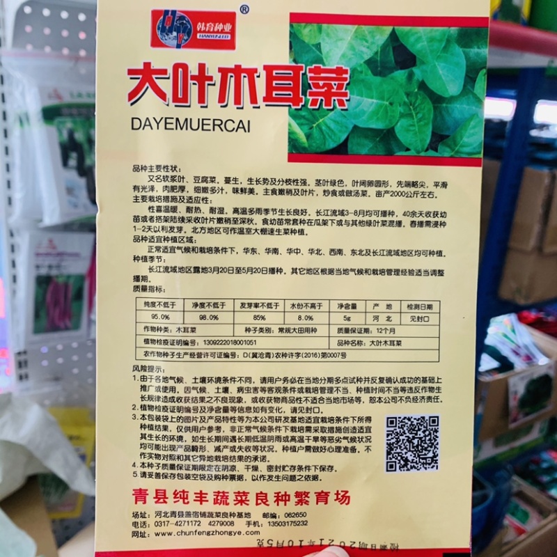 韩育大叶木耳菜种子批发蔬菜种子小包装木耳菜种子豆腐菜种子