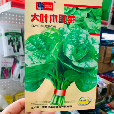 韩育大叶木耳菜种子批发蔬菜种子小包装木耳菜种子豆腐菜种子
