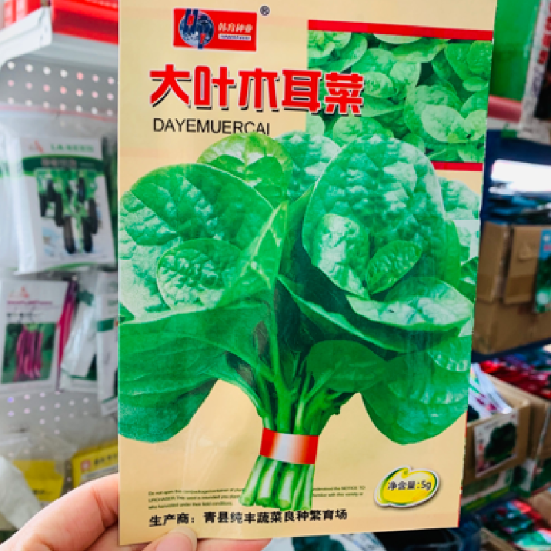 韩育大叶木耳菜种子批发蔬菜种子小包装木耳菜种子豆腐菜种子