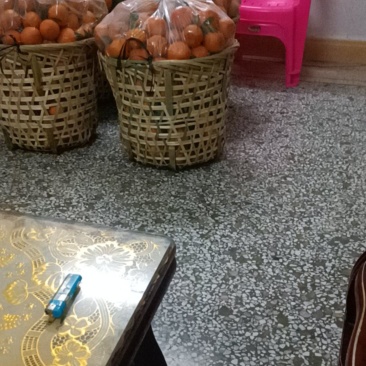 我想买广东潮汕本地招柑