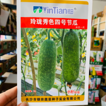银田玲珑秀色四号节瓜种子小籽小型冬瓜种子肉质嫩绿小冬瓜